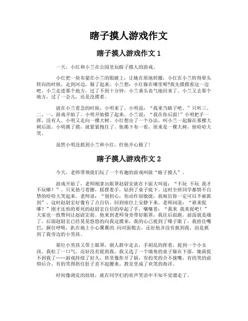瞎子摸人游戏作文