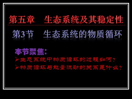 生态系统的物质循环复习公开课一等奖课件省赛课获奖课件
