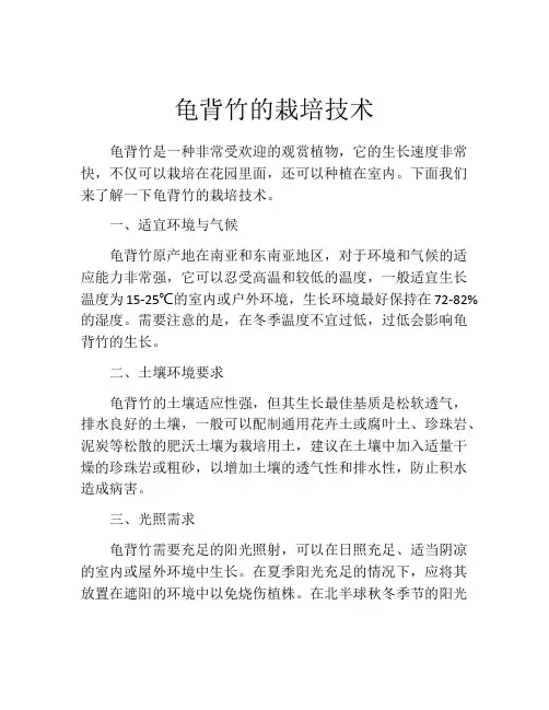 龟背竹的栽培技术
