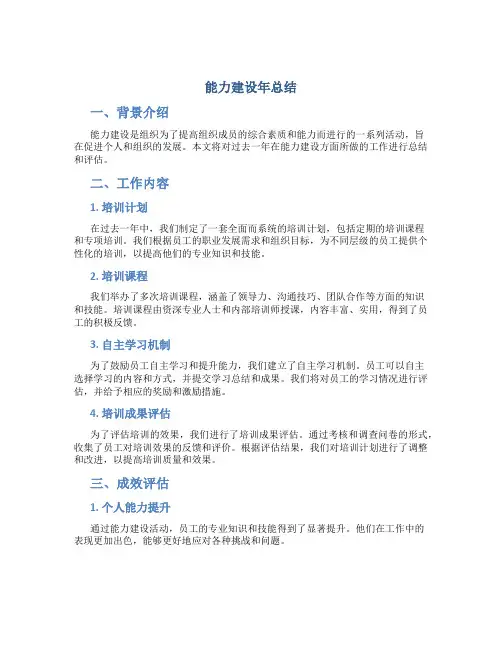 能力建设年总结