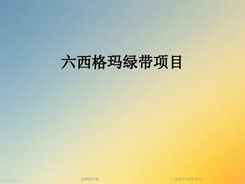 六西格玛绿带项目