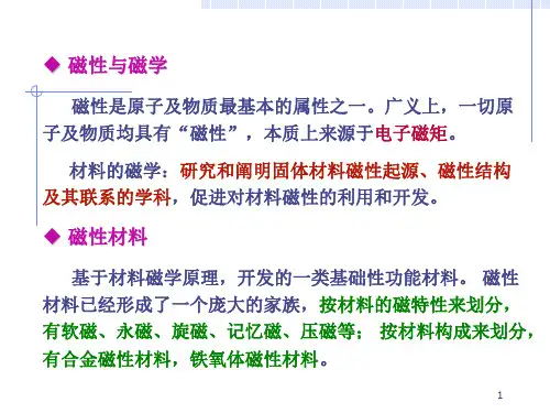 材料的磁学
