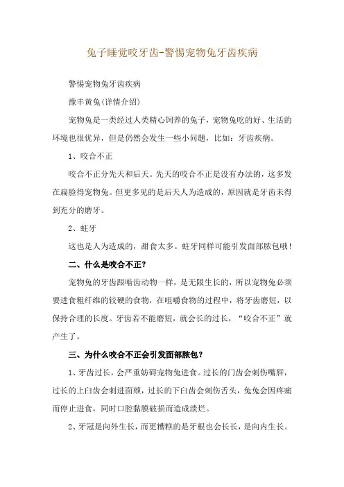 兔子睡觉咬牙齿-警惕宠物兔牙齿疾病