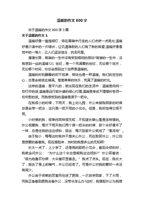 关于温暖的作文800字3篇