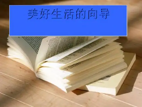 【政治课件】美好生活的向导PPT2 人教版