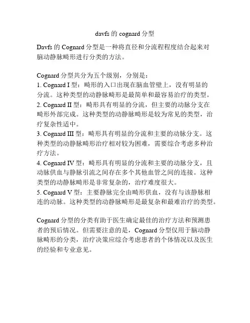 davfs 的cognard分型
