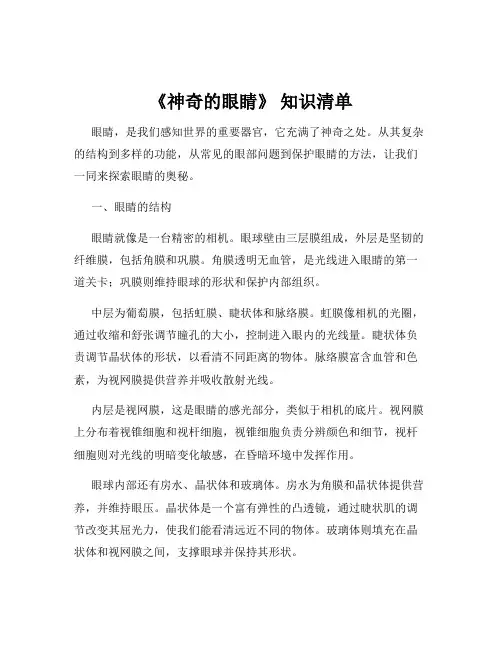 《神奇的眼睛》 知识清单