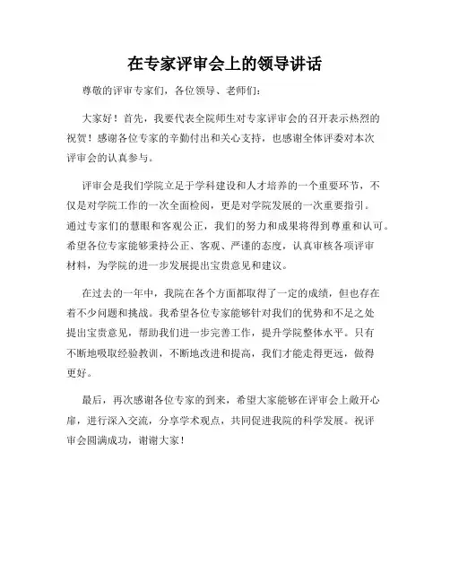 在专家评审会上的领导讲话