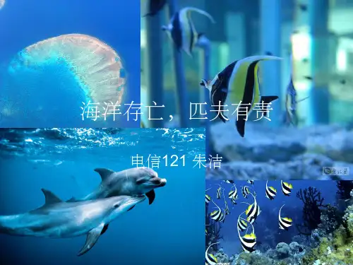 《海洋生物介绍》PPT课件