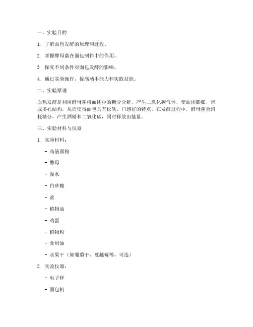 生物面包发酵实验报告