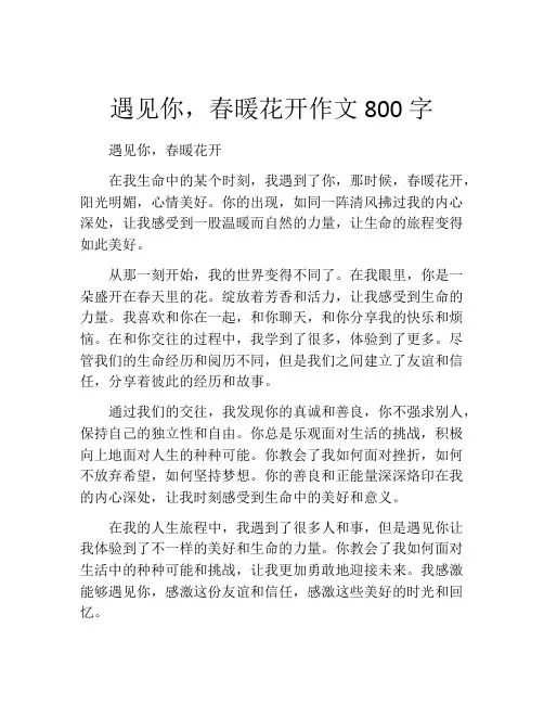 遇见你,春暖花开作文800字