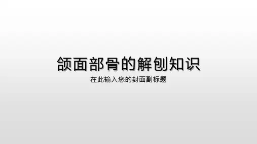 颌面部骨的解刨知识