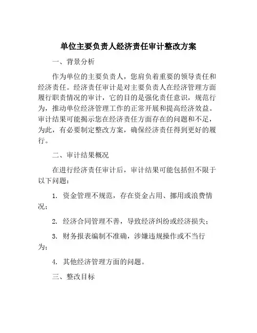 单位主要负责人经济责任审计整改方案