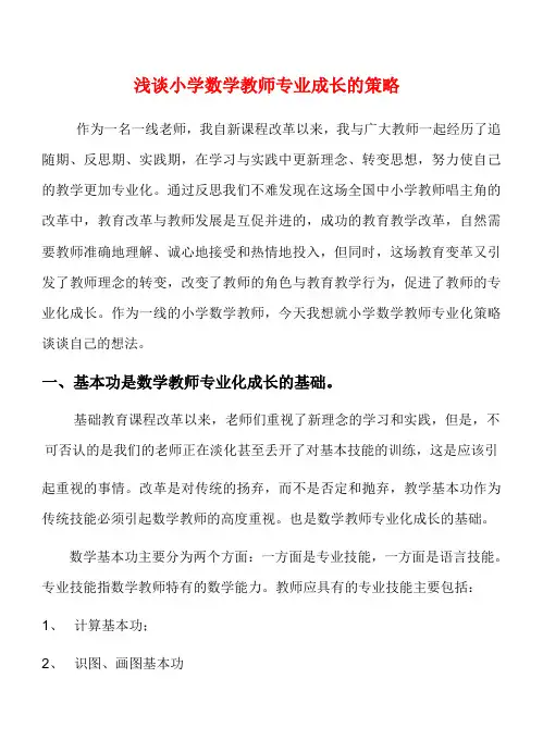 精品小学数学论文  浅谈小学数学教师专业成长的策略