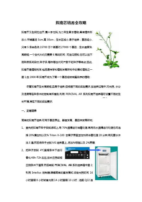 拟南芥培养攻略