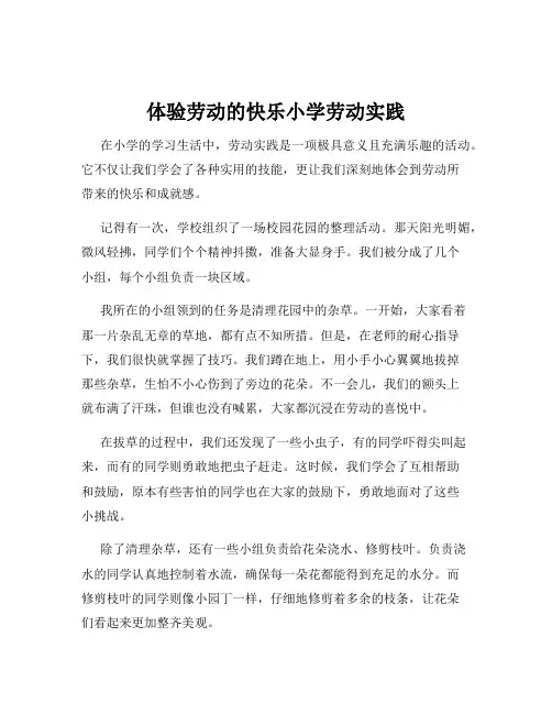 体验劳动的快乐小学劳动实践