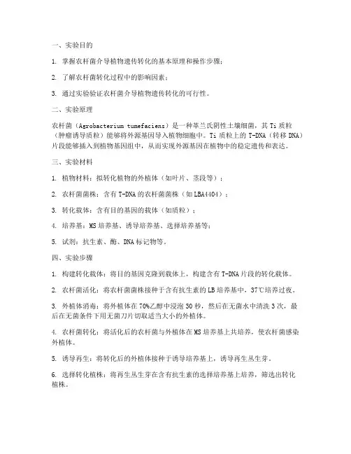 农杆菌介导实验报告