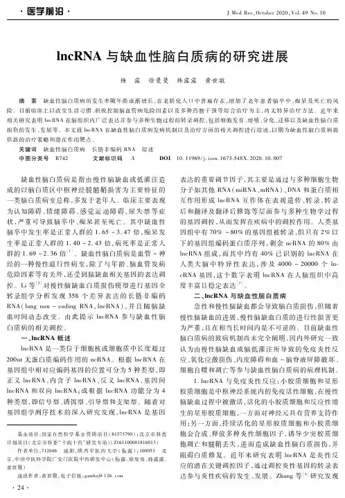 lncRNA与缺血性脑白质病的研究进展