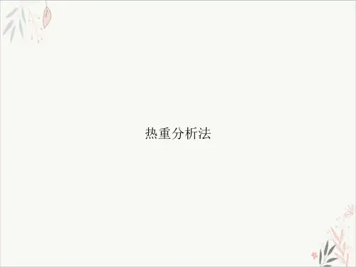 热重分析法PPT课件
