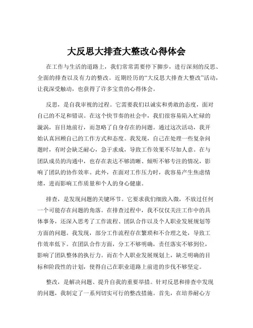 大反思大排查大整改心得体会