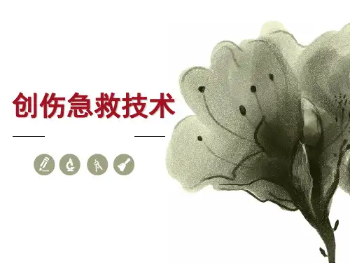 创伤四大技术