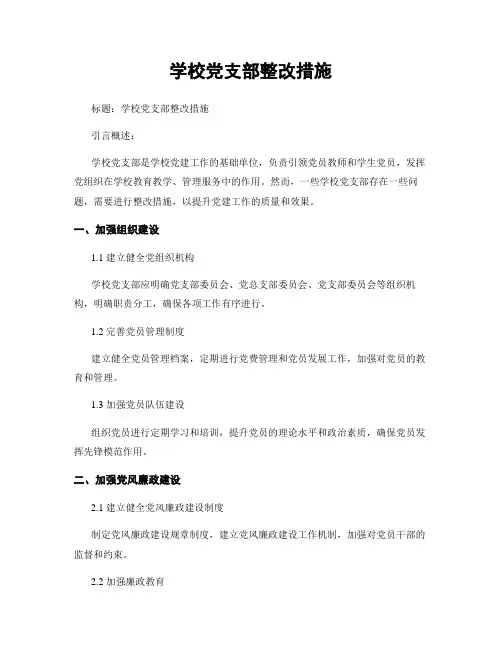 学校党支部整改措施