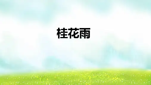 《桂花雨》ppt课件