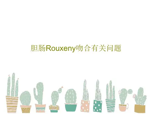 胆肠Rouxeny吻合有关问题24页PPT