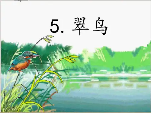 5.翠鸟(第二课时)2PPT课件