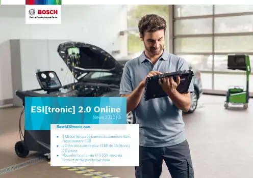 Bosch ESI[tronic] 2.0 Online 商品说明说明书