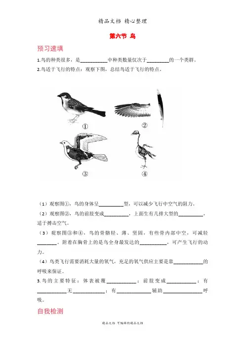 新人教版八年级上册初中生物 第六节 鸟 课前预习单