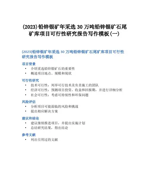 (2023)铅锌银矿年采选30万吨铅锌银矿石尾矿库项目可行性研究报告写作模板(一)