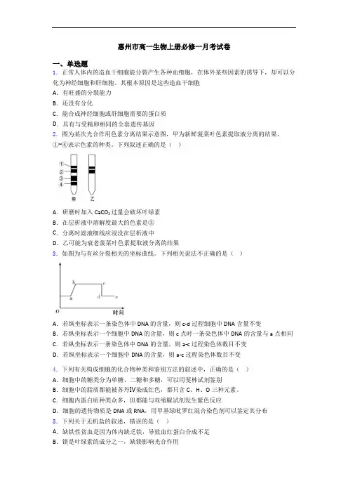 惠州市高一生物上册必修一月考试卷