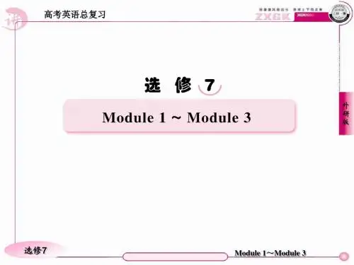 高三英语(外研版)总复习语法课件：专项语法突破(13)特殊句式