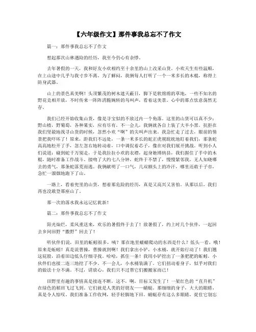 【六年级作文】那件事我总忘不了作文