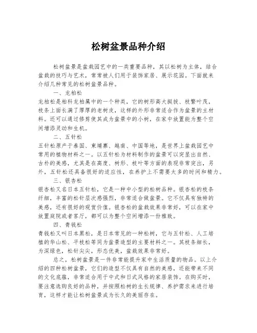 松树盆景品种介绍