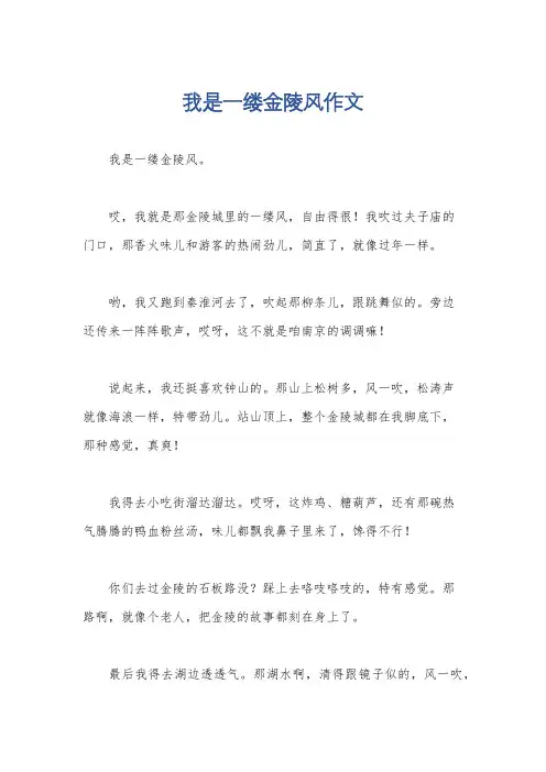 我是一缕金陵风作文