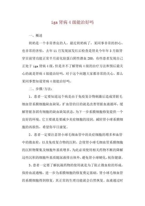 iga肾病4级能治好吗