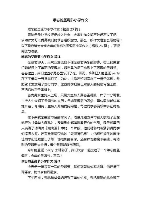 难忘的圣诞节小学作文