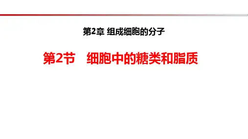 (2019人教版 必修一)2.3细胞中糖类和脂质
