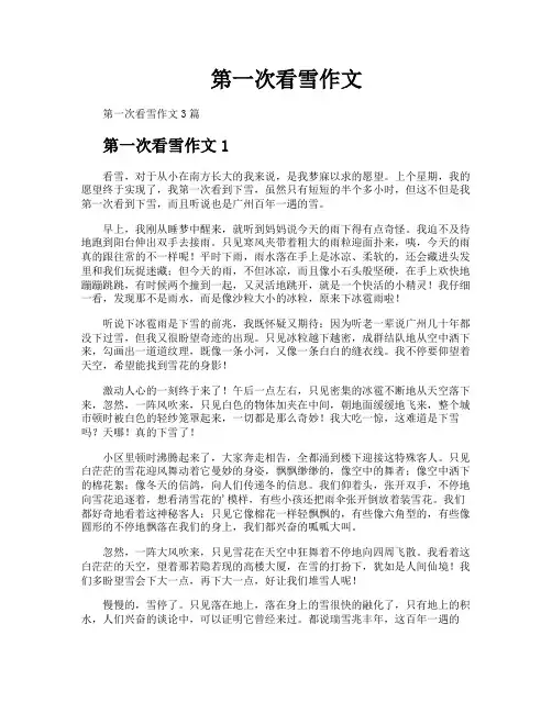 第一次看雪作文