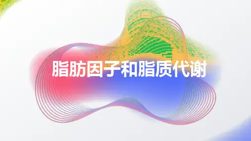 脂肪因子和脂质代谢2024课件