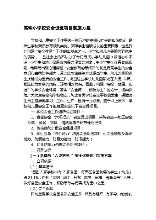 1.高硐小学校安全促进项目实施方案