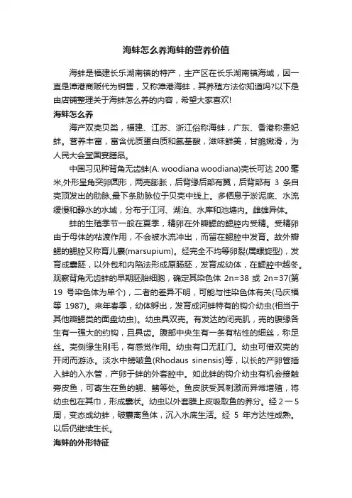 海蚌怎么养海蚌的营养价值