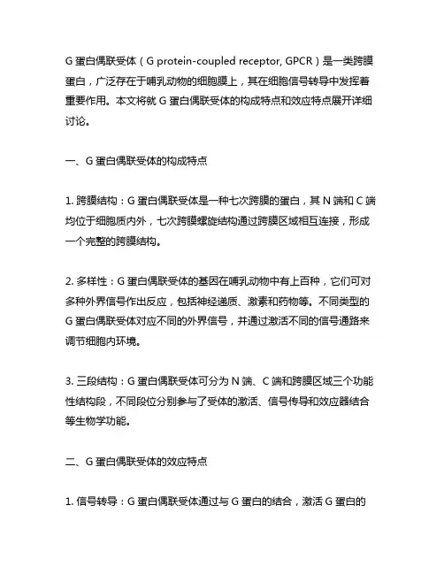 g蛋白偶联受体 构成特点 效应特点