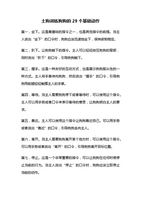 土狗训练狗狗的29个基础动作