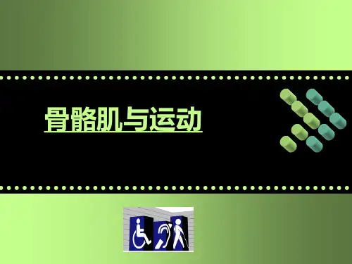骨骼肌运动学