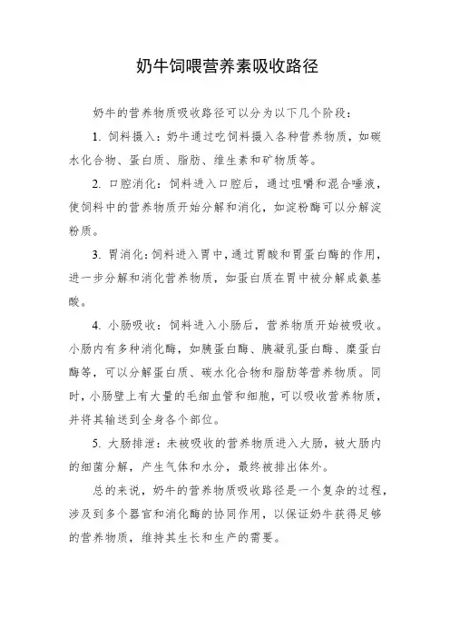 奶牛饲喂营养素吸收路径