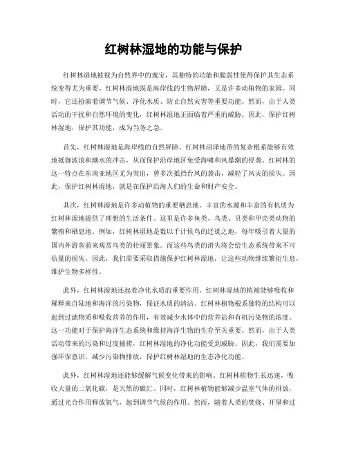 红树林湿地的功能与保护