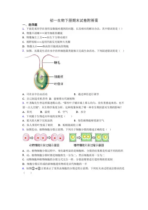 初一生物下册期末试卷附答案
